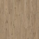 Ginger Wood Fume