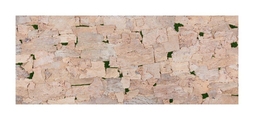 Muratto Cork Bark Skin Tree Ivory
