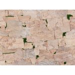 Skin Tree – Ivory