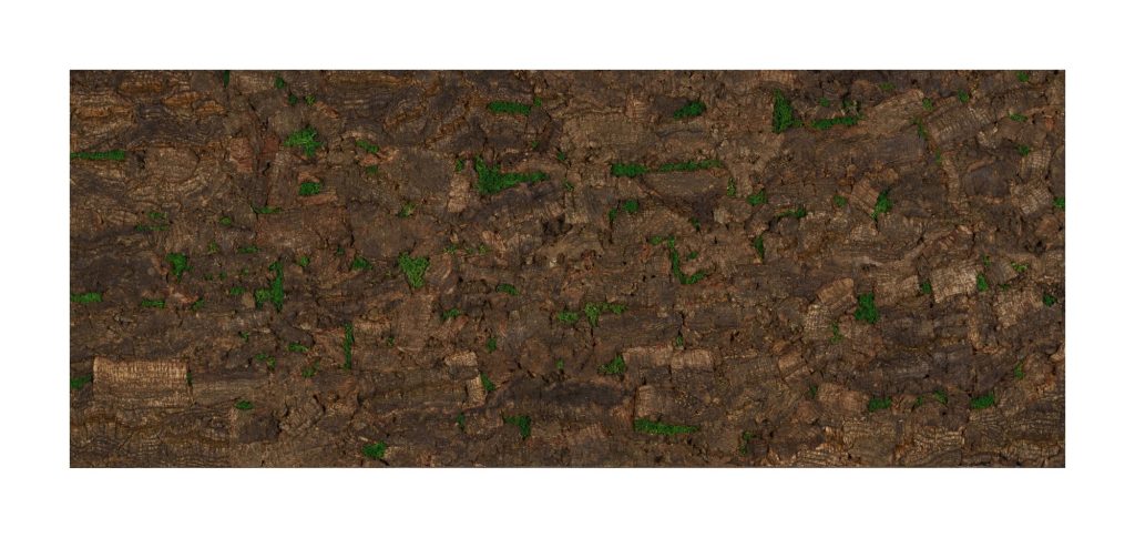 Muratto Cork Bark Virgin Tree Brown