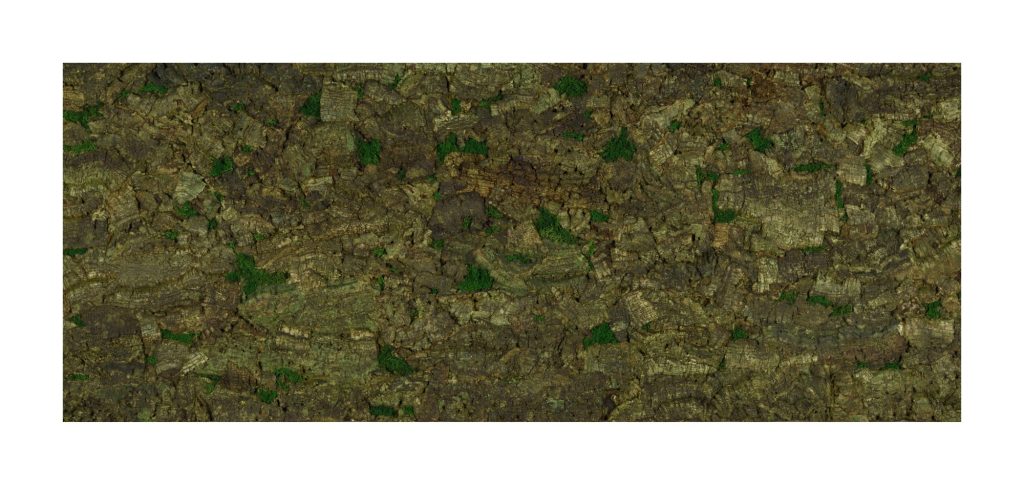 Muratto Cork Bark Virgin Tree Green