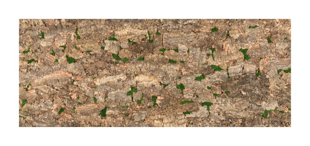 Muratto Cork Bark Virgin Tree Natural