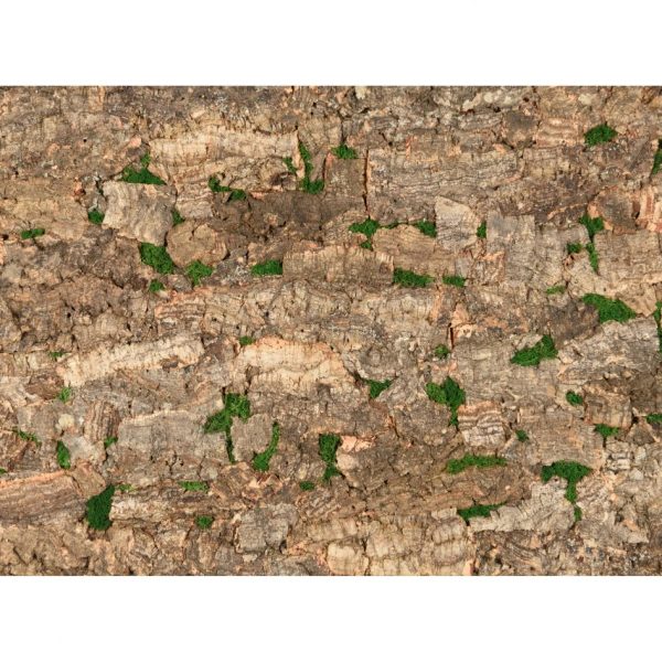 Muratto Cork Bark Virgin Tree Natural