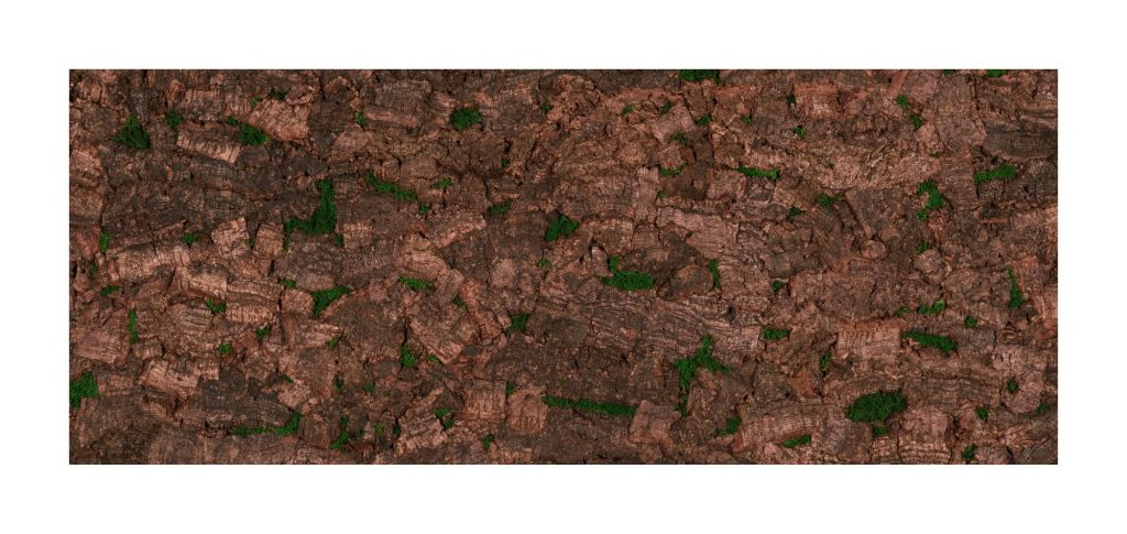 Muratto Cork Bark Virgin Tree Terracotta