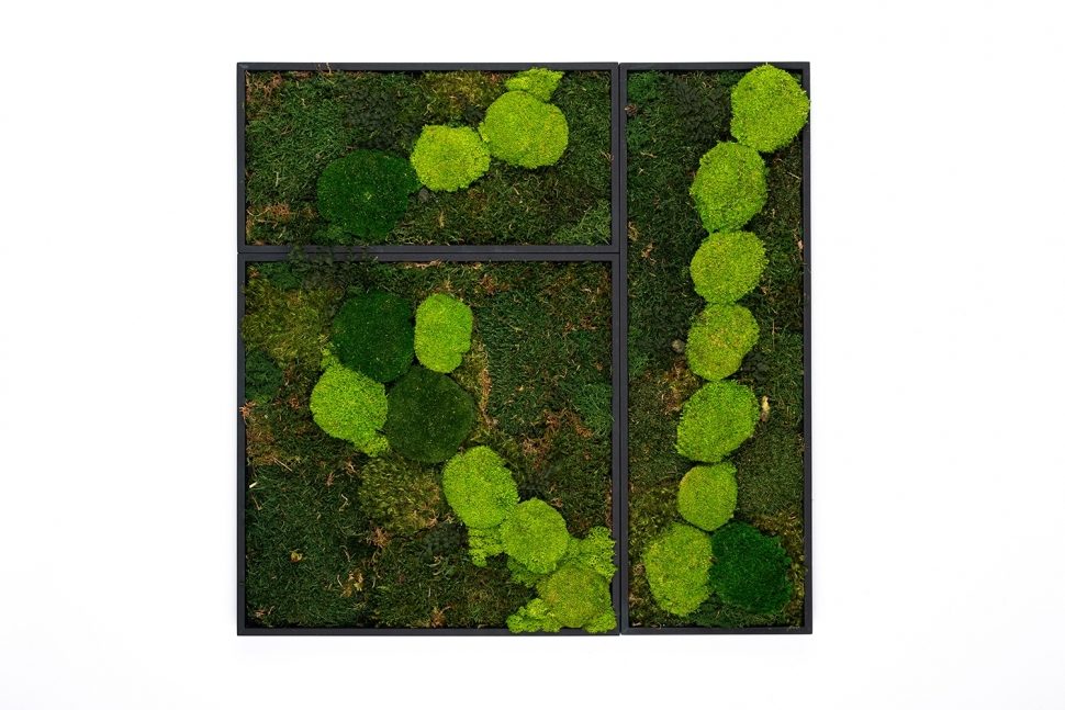 Muratto Green